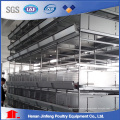 Automatic Feeding System for a H Frame Layer Broiler Cage Syetem